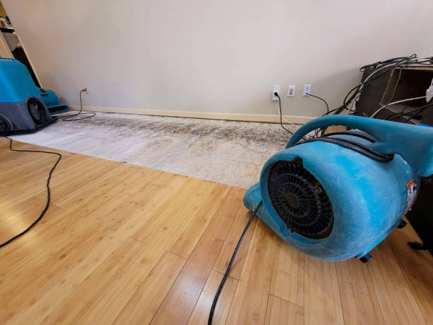 Professional Sewage Cleanup technician working in Freeport, PA